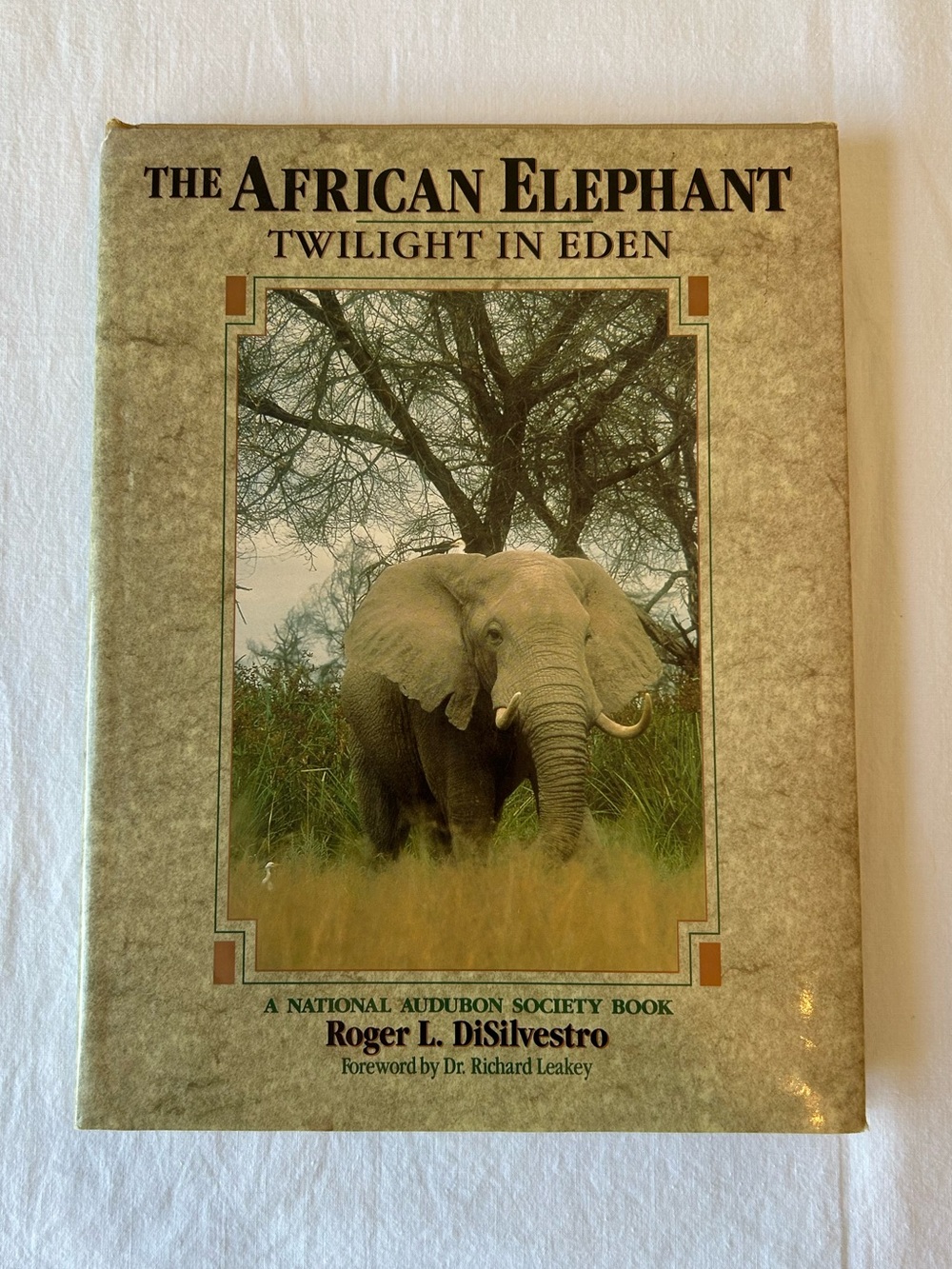 90s Vintage Wildlife Academia The African Elephant: Twilight in Eden